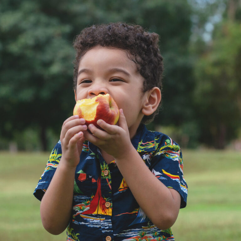 Little boy outside happily eating an apple