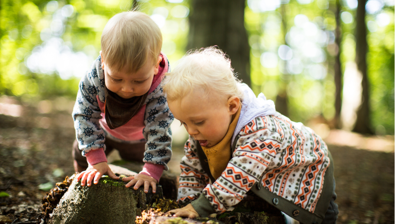 Two toddler leaning on a tree stump in the woods