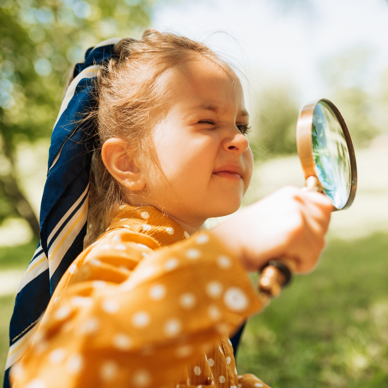 Little girl outdoors on a sunny day closely examining a tree with a magnifying glass