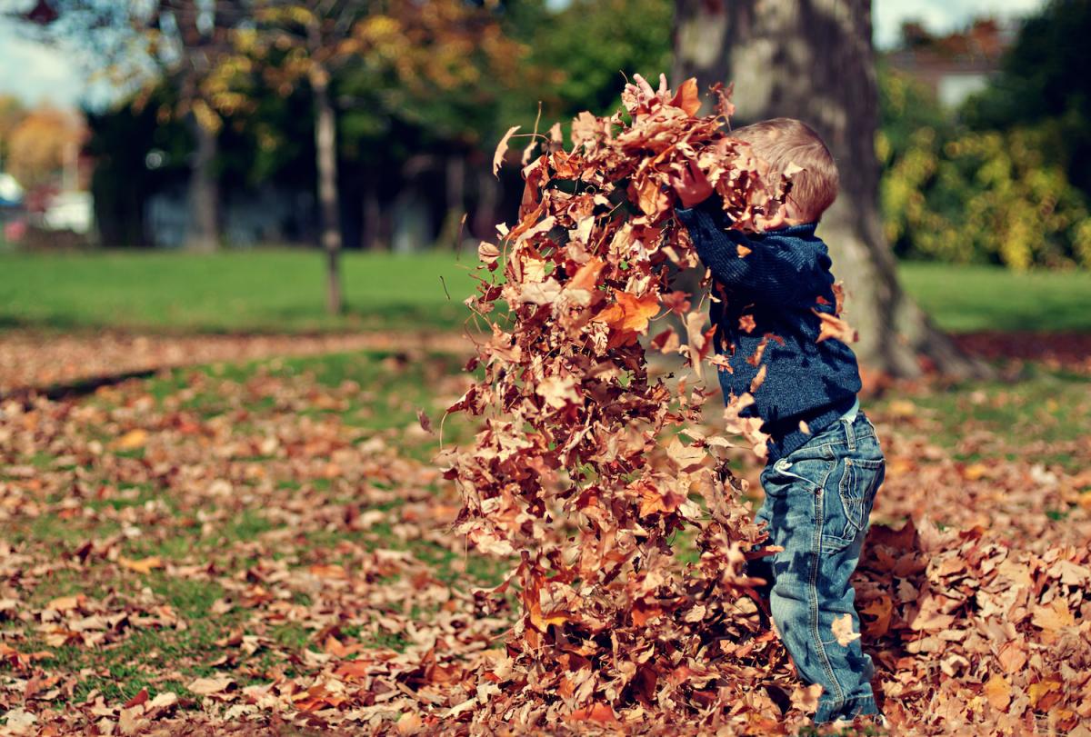 a young boy plays in leaves