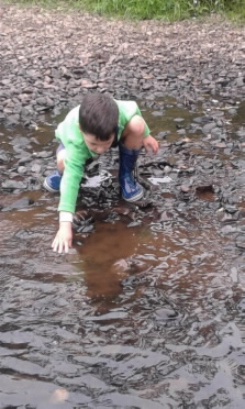 Boy aged 4 exploring the river