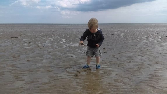 Boy, aged 2, explores wet sand