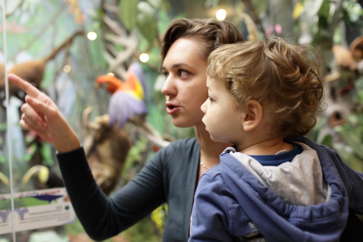 A woman and young boy examine an exhibit