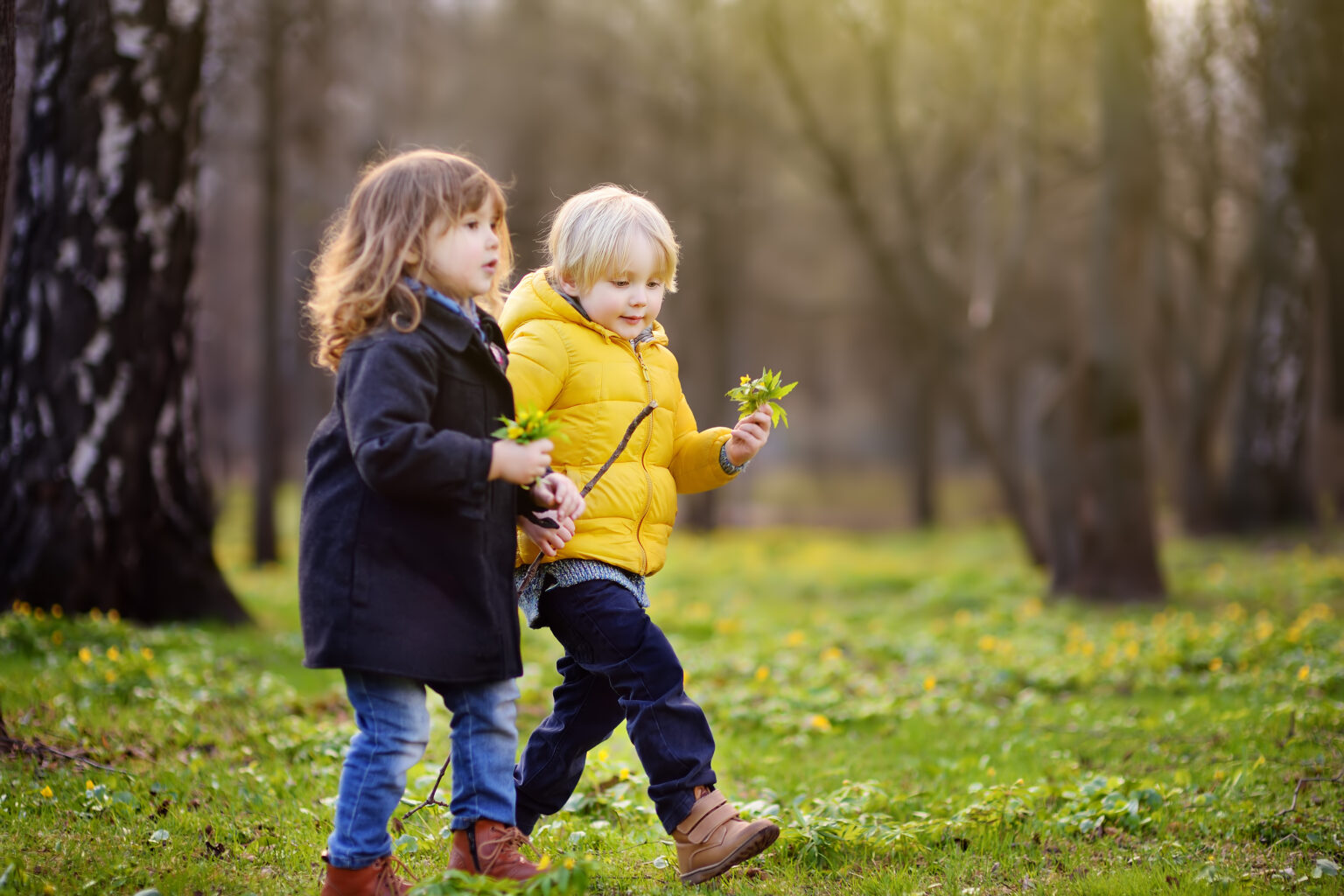 Little girl wearing a black coat walking in a field with a little boy wearing a bright yellow puffer jacket. Both are holding flowers.