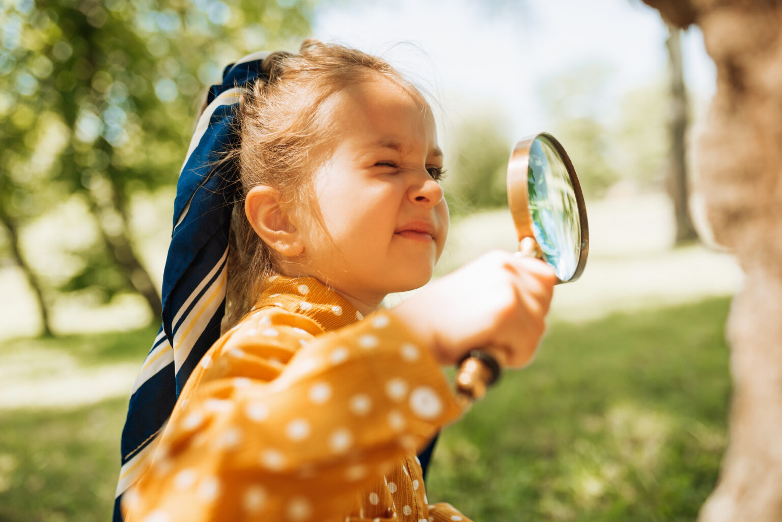 Little girl outdoors on a sunny day closely examining a tree with a magnifying glass